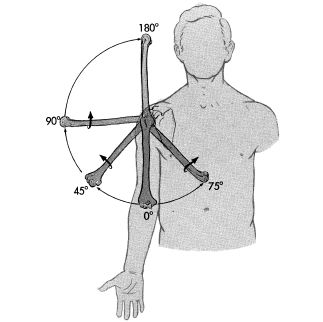 Limb Rotation