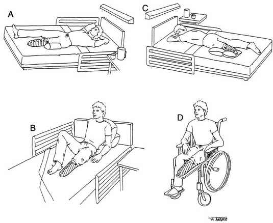 prone knee extension