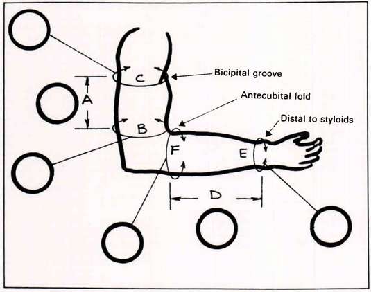 Figure 4 Measurement Chart Measure Arm Dimen O P Digital Resource 