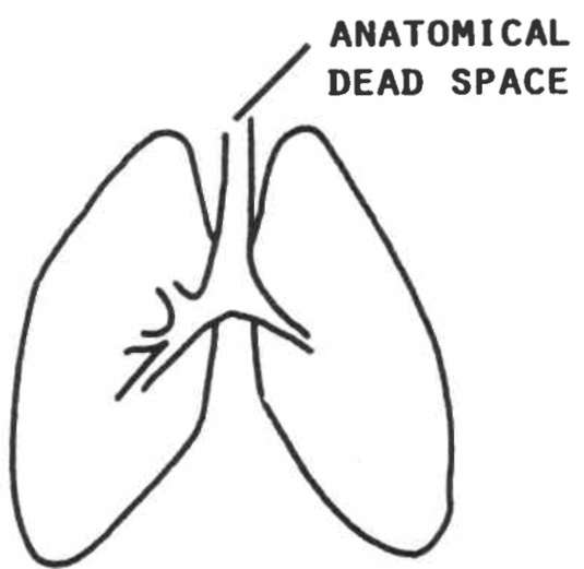 define dead space in physiology